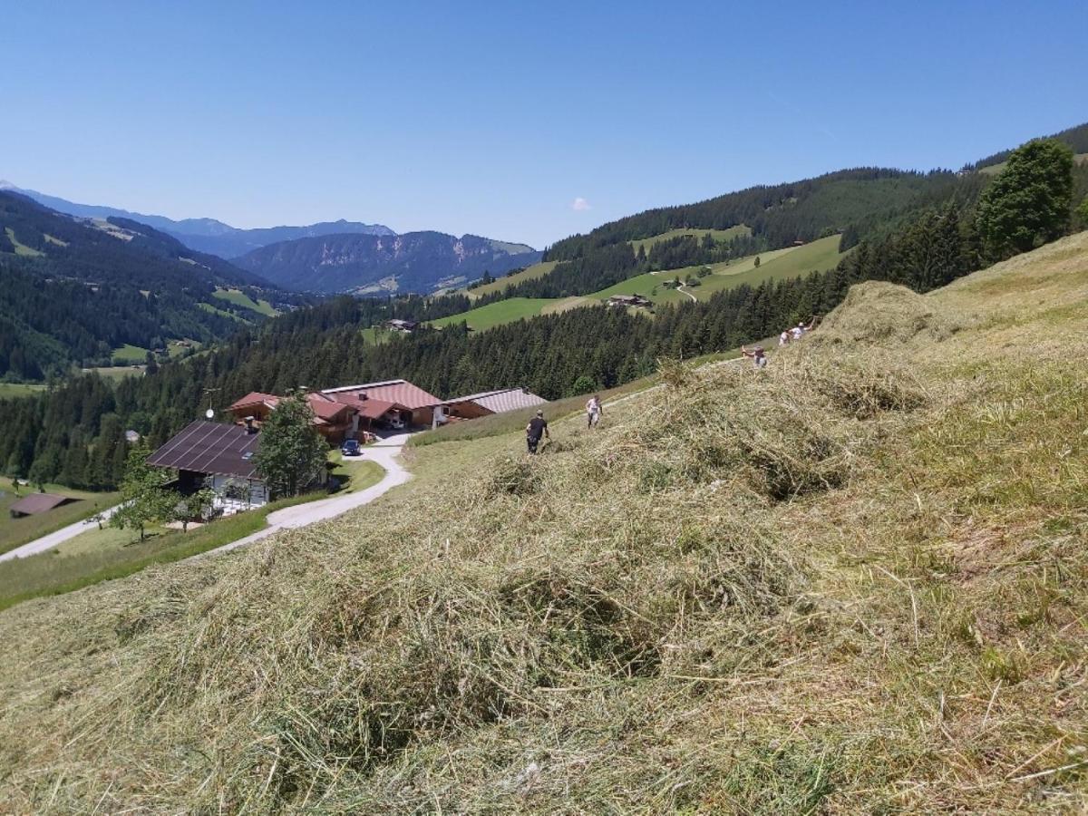 Praedastenhof Auffach Esterno foto