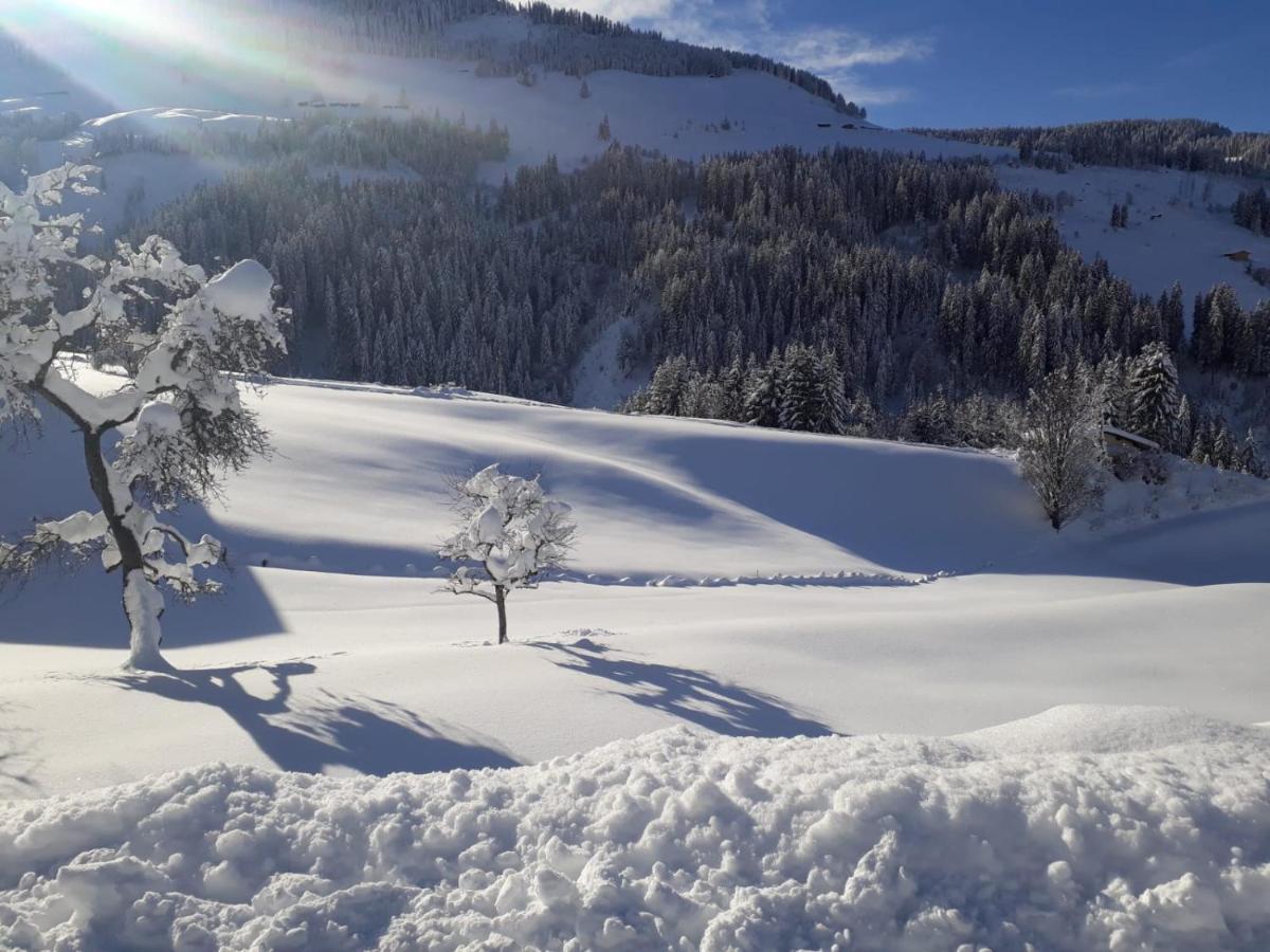 Praedastenhof Auffach Esterno foto